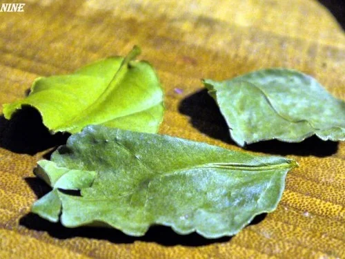 Kartoffel-Curry mit Hähnchenbeinen und Brotchips - Rezept - Bild Nr. 7