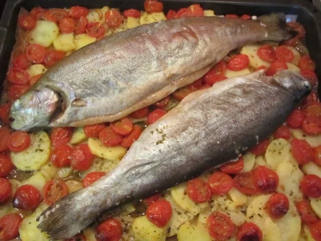 Forelle im Zwiebel-Tomatenbett - Rezept - Bild Nr. 5