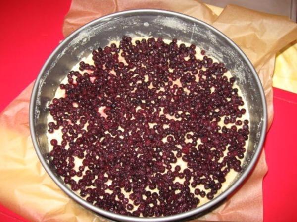 Heidelbeer Quark Kuchen - schnell &amp; einfach - von manschie