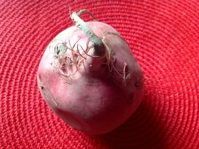 Rezept: Rote Bete Carpaccio Bild Nr. 4 Rote Bete Carpaccio - Rezept - Bild Nr. 4