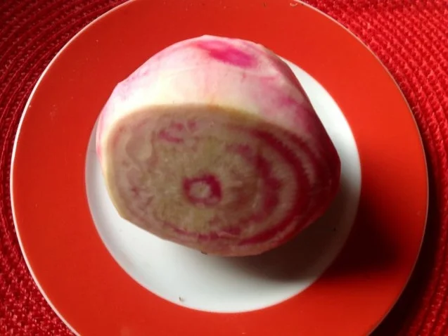 Rezept: Rote Bete Carpaccio Bild Nr. 5 Rote Bete Carpaccio - Rezept - Bild Nr. 5