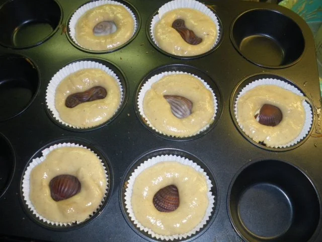 Rezept: spekulatiusmuffins Bild Nr. 5 spekulatiusmuffins - Rezept - Bild Nr. 5