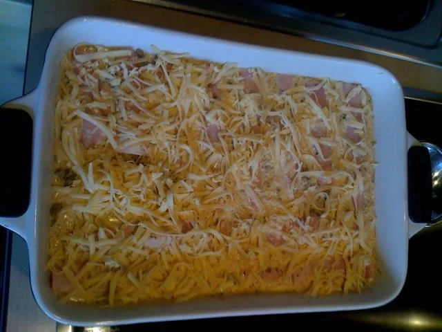 Leo`s Schinken-Hack-Zucchini Röllchen - Rezept