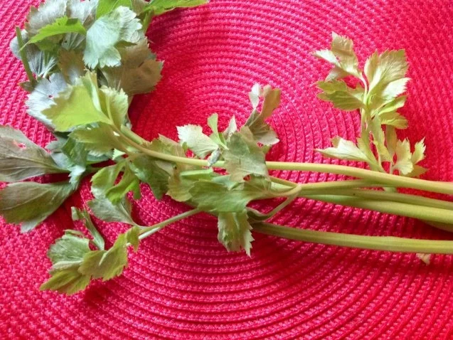 Asiatisches Hähnchen Curry - Rezept - Bild Nr. 4