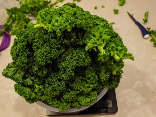 Rezept: Suppenküche: Grünkohlcremesuppe Bild Nr. 2 Suppenküche: Grünkohlcremesuppe - Rezept - Bild Nr. 2