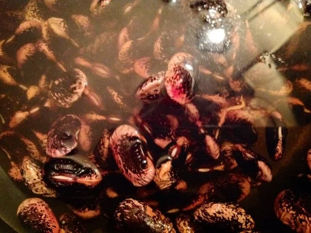 Scharfe Bohnensuppe - Rezept - Bild Nr. 6