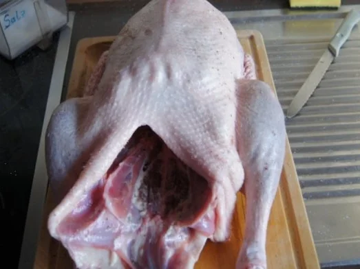 Rezept: Weihnachtsgans Bild Nr. 6 Weihnachtsgans - Rezept - Bild Nr. 6
