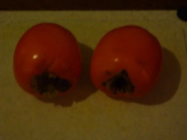 Tulipane mit Kakicrème - Rezept - Bild Nr. 6