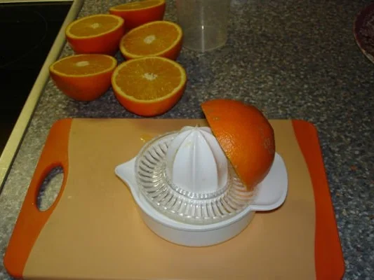 Gänsebrust mit Orangensoße - Rezept - Bild Nr. 2