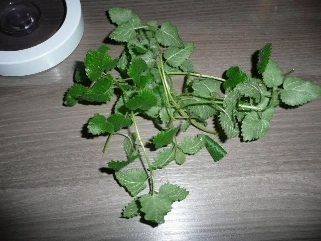 Neujahrsempfang,  Party oder Geburtstag. - Rezept - Bild Nr. 2