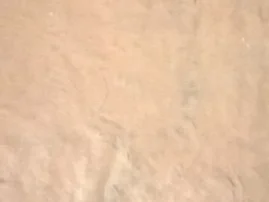 Dinkel-Pizza mit frischer Tomatensoße - Rezept - Bild Nr. 2