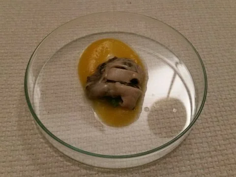 Auster | Mandarine| Dashi | Tobikko - Rezept