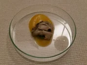 Auster | Mandarine| Dashi | Tobikko - Rezept