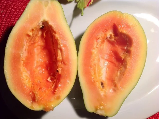 Papaya-Paprika-Salat, Papaya-Frischäse-Dip dazu eine Süßkartoffel - Rezept - Bild Nr. 5