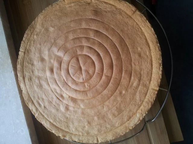 Heller Bisquit - Rezept - Bild Nr. 2