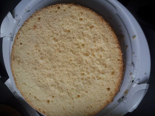 Heller Bisquit - Rezept - Bild Nr. 4