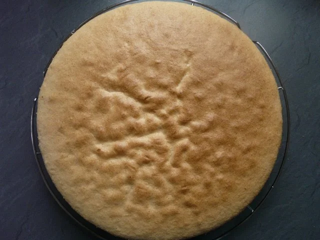 Heller Bisquit - Rezept - Bild Nr. 8