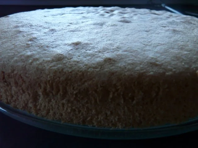 Heller Bisquit - Rezept - Bild Nr. 12