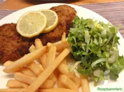 Salatbar:   ENDIVIEN (Escariol) - Rezept