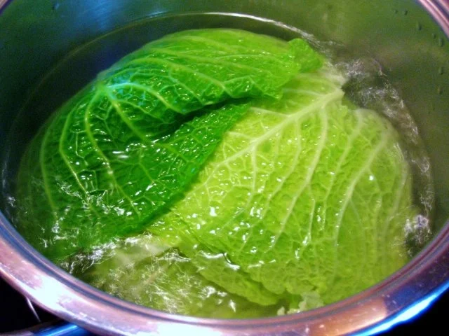 Wirsingröllchen - Rezept - Bild Nr. 2