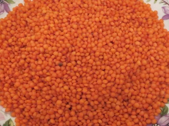 Kochen: Roter Linsen-Kartoffel-Eintopf - Rezept