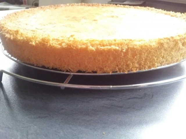 Himbeer - Quark - Torte - Rezept - Bild Nr. 3