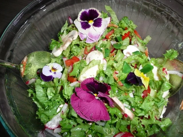 ( M )ein Weg zum Abnehmen . - Rezept - Bild Nr. 5