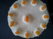 Mandarinen - Sahne - Rezept