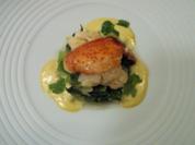 Geräucherter Hummer, Pak Choi und Koriander-Sabayon - Rezept