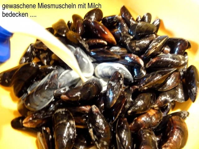 Fisch:   MIESMUSCHELN - Rezept - Bild Nr. 2