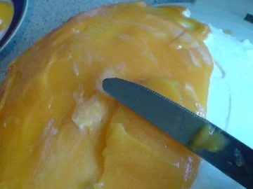 Rezept: Pfirsichtorte ohne backen-schnell und sommerlich Bild Nr. 6 Pfirsichtorte ohne backen-schnell und sommerlich - Rezept - Bild Nr. 6