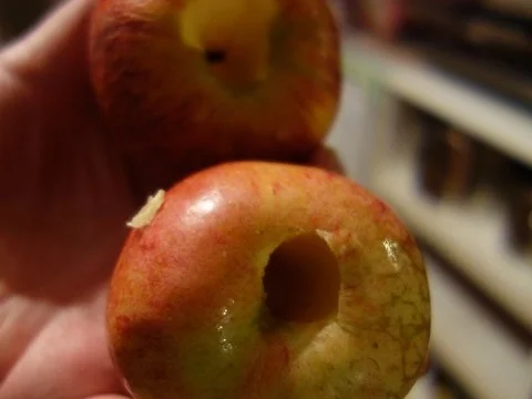 Rezept: Karreerose vom Kalb Bild Nr. 4 Karreerose vom Kalb - Rezept - Bild Nr. 4