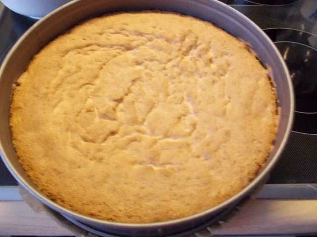 Rezept: Mascarpone-Torte Bild Nr. 3 Mascarpone-Torte - Rezept - Bild Nr. 3