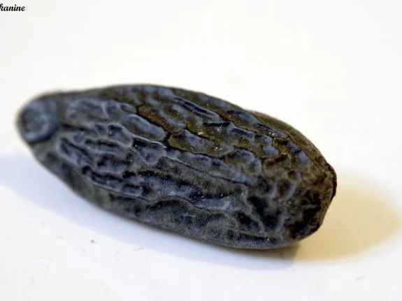 Tonka-Gugelhüpfer - Rezept - Bild Nr. 3