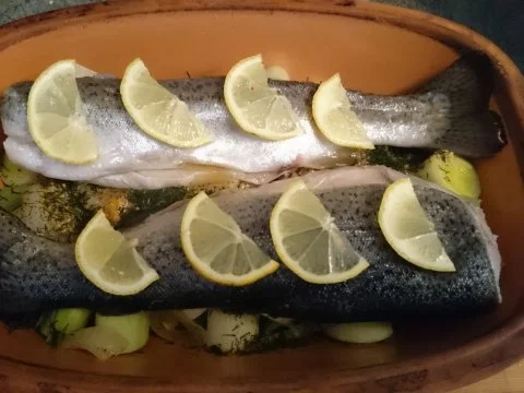 forelle auf porreebett im römertopf - Rezept - Bild Nr. 5
