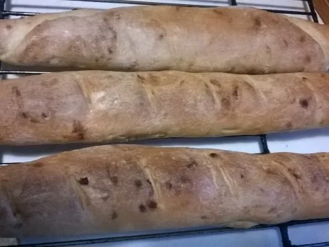 Khubz bi Labsel - Rezept - Bild Nr. 6