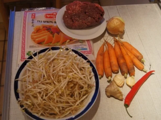 Würzige Frühlingsrollen - Rezept - Bild Nr. 2