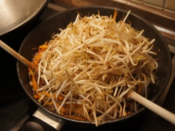 Würzige Frühlingsrollen - Rezept - Bild Nr. 8