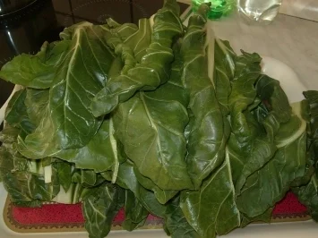 Mangold, gefüllt - Rezept