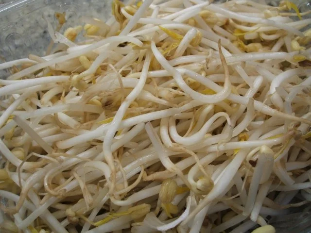 Suppen: Hühnersuppe "Shanghai" - Rezept - Bild Nr. 13