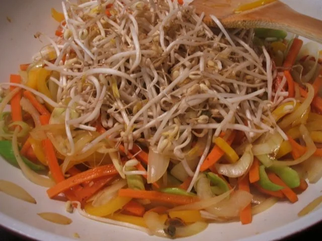 Suppen: Hühnersuppe "Shanghai" - Rezept - Bild Nr. 19