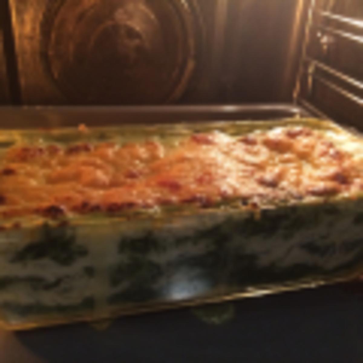 Lasagne aus dem Dampfgarer Rezept Eingereicht von SuperCook_go