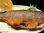 Fisch:   BACHSAIBLING knusprig gebraten - Rezept