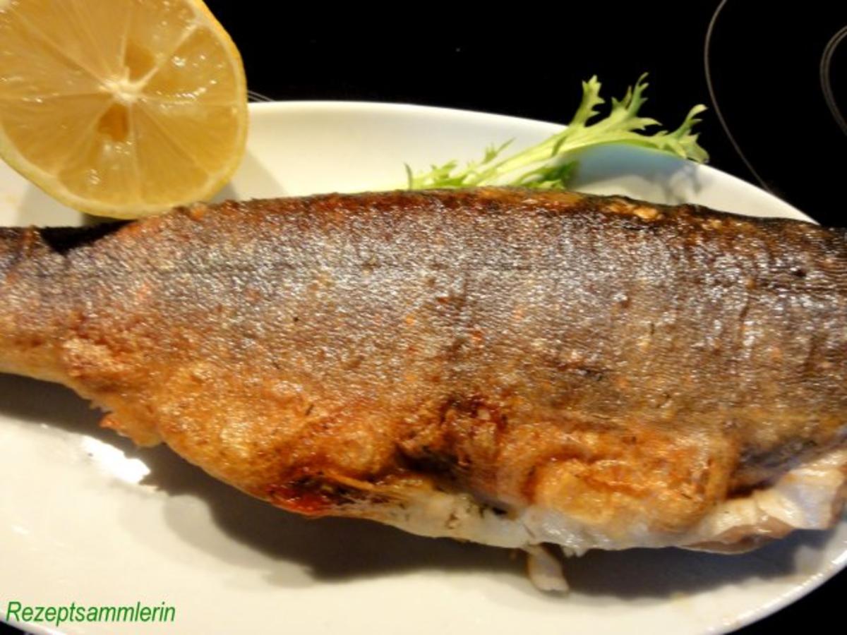 Bilder für Fisch: BACHSAIBLING knusprig gebraten - Rezept