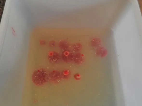 Himbeer - Perlen ... - Rezept - Bild Nr. 6