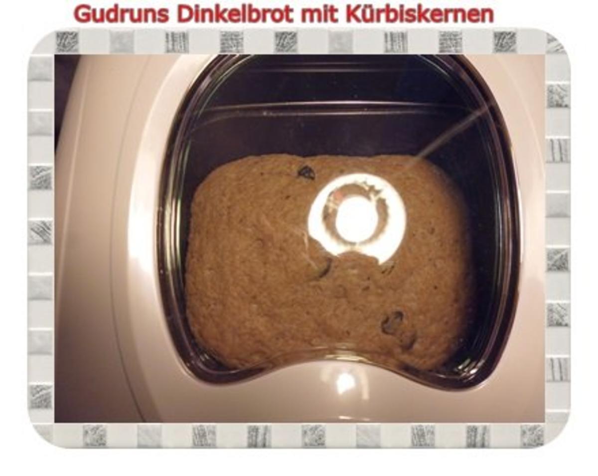 Brot: Dinkelbrot mit Kürbiskernen - Rezept - Bild Nr. 7