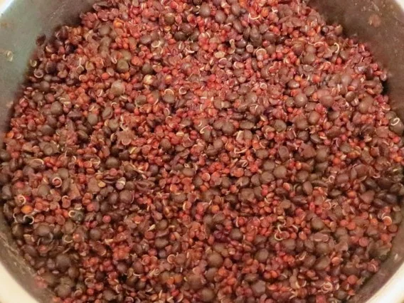 Zwischensnack: Schwarze Linsen - Quinoa - Muffins - Rezept - Bild Nr. 3