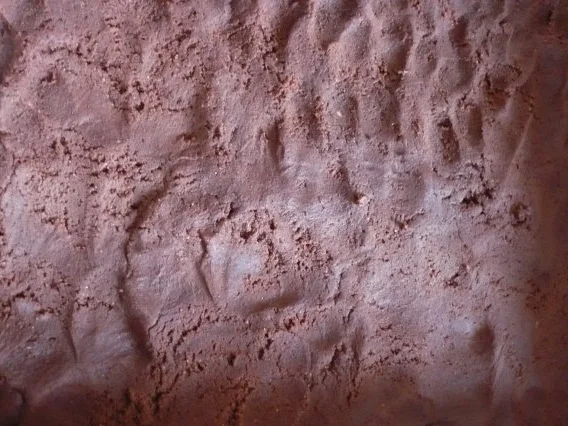 Rezept: Schokostreusel mit Vanillecreme Bild Nr. 3 Schokostreusel mit Vanillecreme - Rezept - Bild Nr. 3