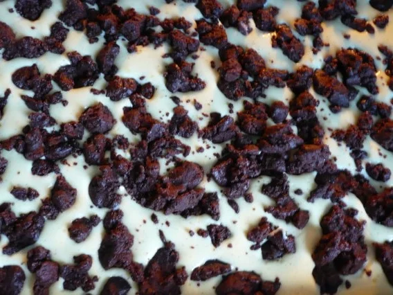 Rezept: Schokostreusel mit Vanillecreme Bild Nr. 6 Schokostreusel mit Vanillecreme - Rezept - Bild Nr. 6