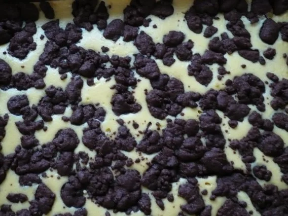 Rezept: Schokostreusel mit Vanillecreme Bild Nr. 7 Schokostreusel mit Vanillecreme - Rezept - Bild Nr. 7